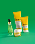 WHITE CLAY AND ROSEMARY FLUID CARE